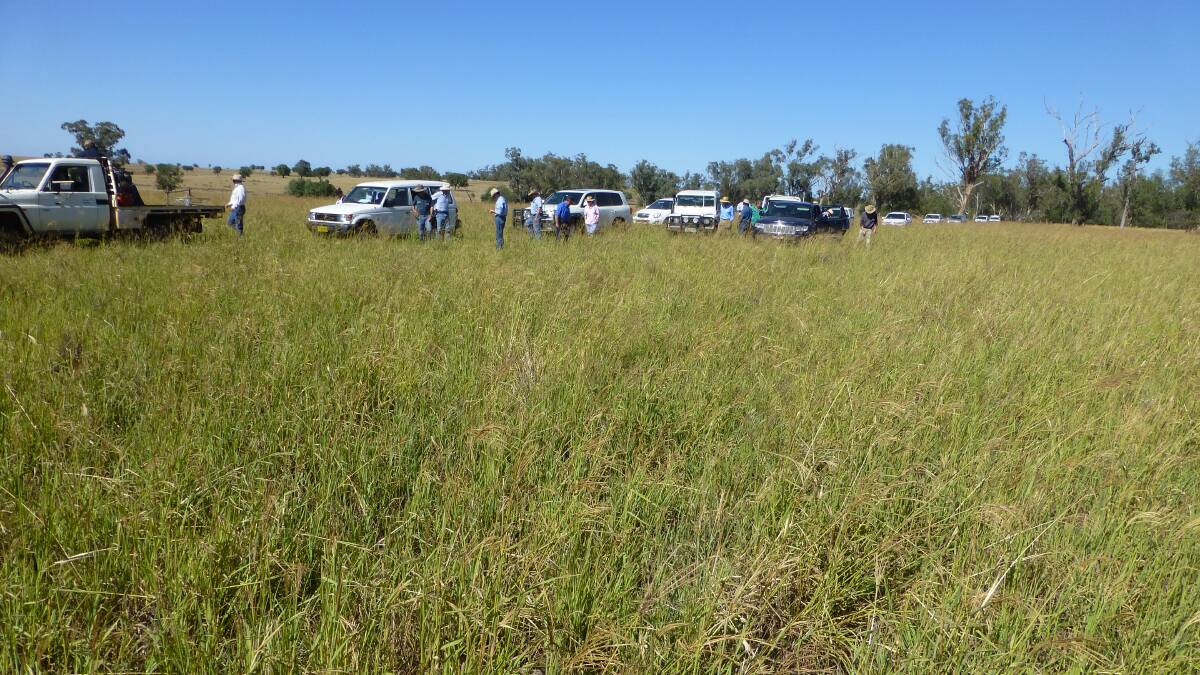 A typical scene of a DPI field day. Staff like Julie Howard played a vital role in organising such events. Photo supplied