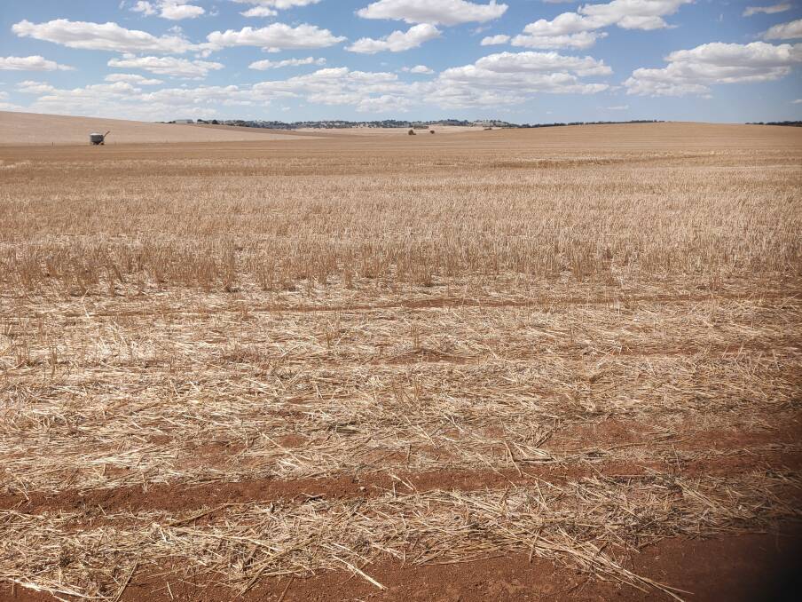 Good levels of stubble retained over the fallow period generally contribute to water capture as well as water storage. Picture supplied