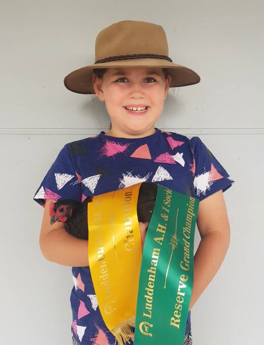 A younger Kollah wining awards at Castle Hill show in 2017. Photo: Supplied