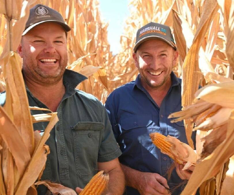 Pate Agricultural Pty farm manager Daniel Phelan and owner Nathan Pate standing in the Australian record breaking 23.27t/ha maize crop on Oakbank, Tocumwal. Picture supplied by James Murray
