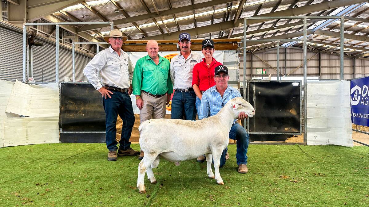 Mark Lowe, Nomuula, Moonbi, auctioneer John Settree, Nutrien, Dubbo, Jono McMahon, Nomuula, Moonbi, Melissa and Nick Pagett, Winrae Dopers and White Dorpers, Bundarra, with the top-priced White Dorper ram which sold for $8500. Picture by Elka Devney
