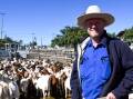 Eric Sharwood, Nullawr, Dubbo, purchased a pen of 94 Boer yearling does for $54 a head at the Dubbo goat sale on May 7. Photo Elka Devney.
