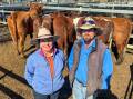 Vendors Judy and Nathan Haynes, Springdale, Dunedoo sold a draft of 62 Shorthorn/Red Angus PTIC cows for a top of $1240. Picture by Elka Devney