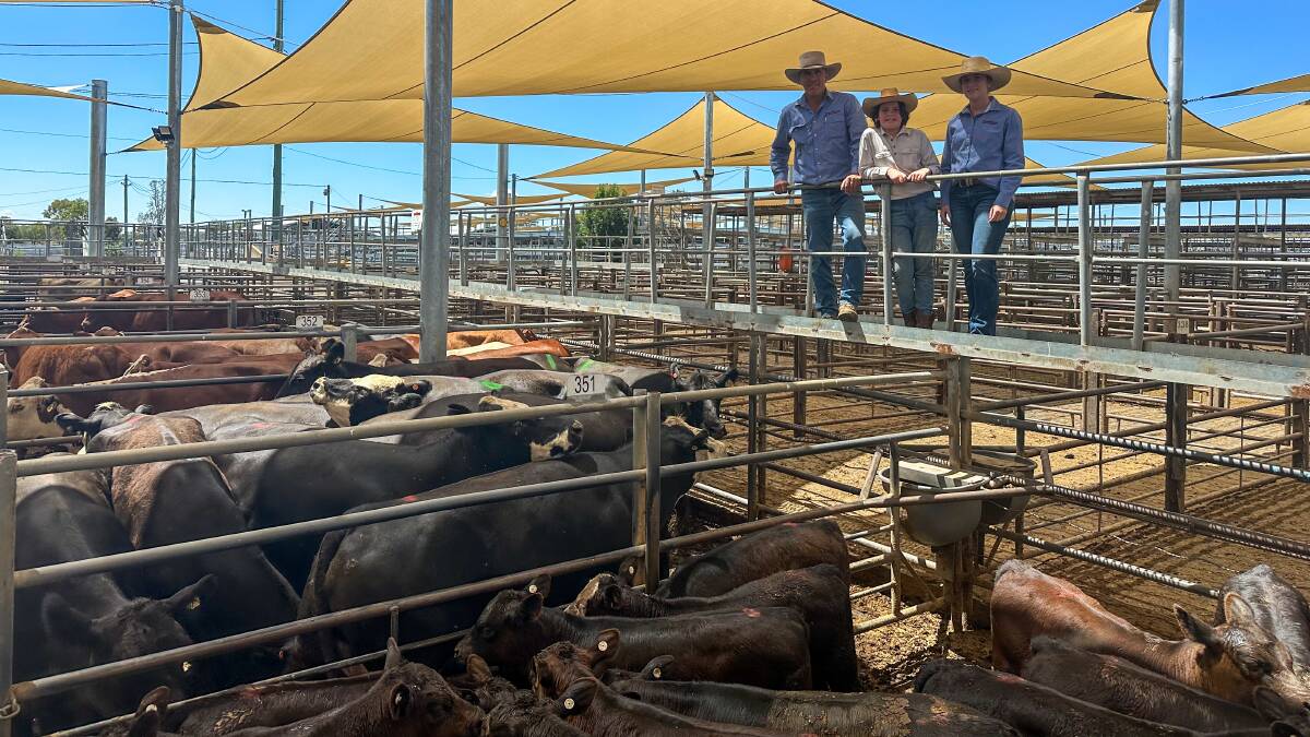 Peter Milling and Company agent Danny Tink, Pax Townsend and Edwina Tink with 24 Angus/Hereford cows with calves which sold for $1400. Picture by Elka Devney
