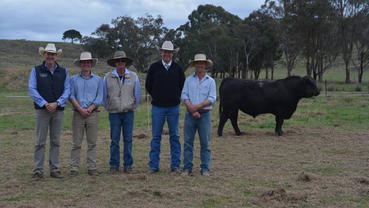 McDonald Lawson Carter agent Bill Lawson, Coffin Creek co-principal Jack White, both from Mudgee, top priced buyer Steve Reibel, Rylstone, auctioneer Paul Dooley, Tamworth with Coffin Creek co-principal Harry White. Picture by Elka Devney 