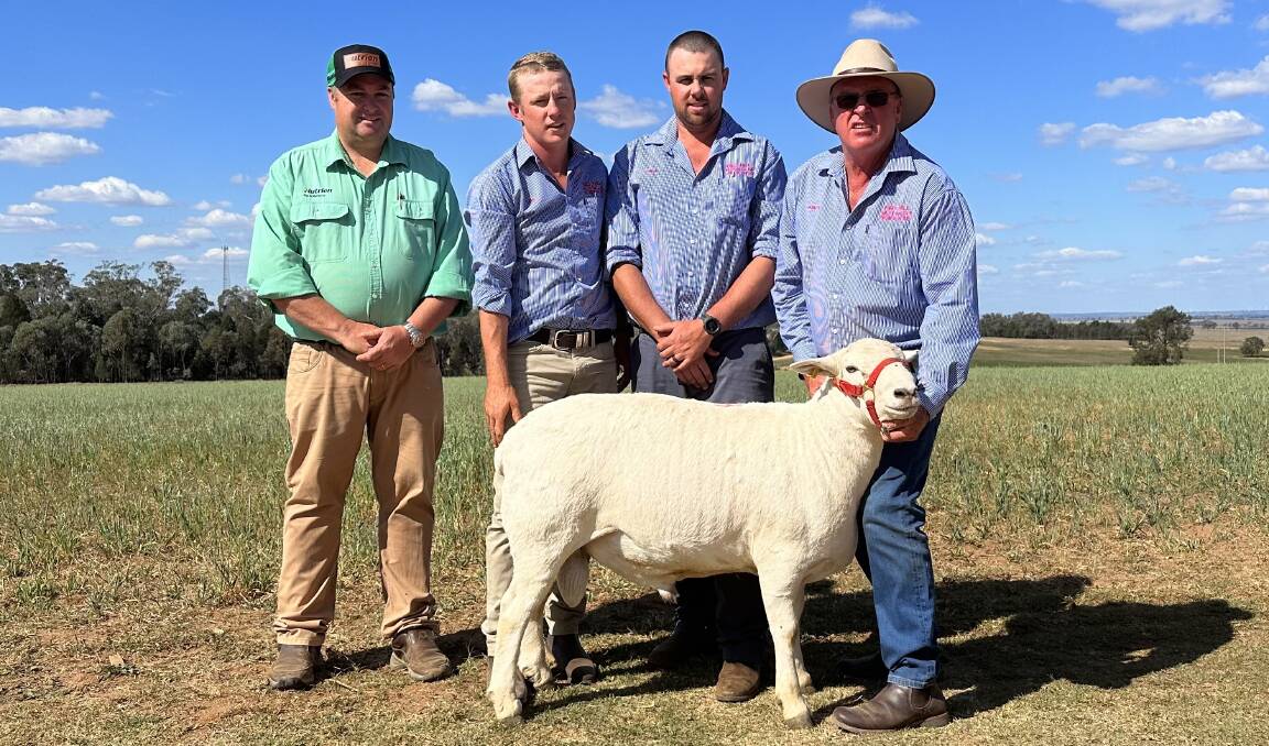 Brad Wilson, Nutrien, Josh Toole, Ethan and Robert Endacott, Red Hill, with the top-priced ram, which sold for $8000. Picture by Elka Devney