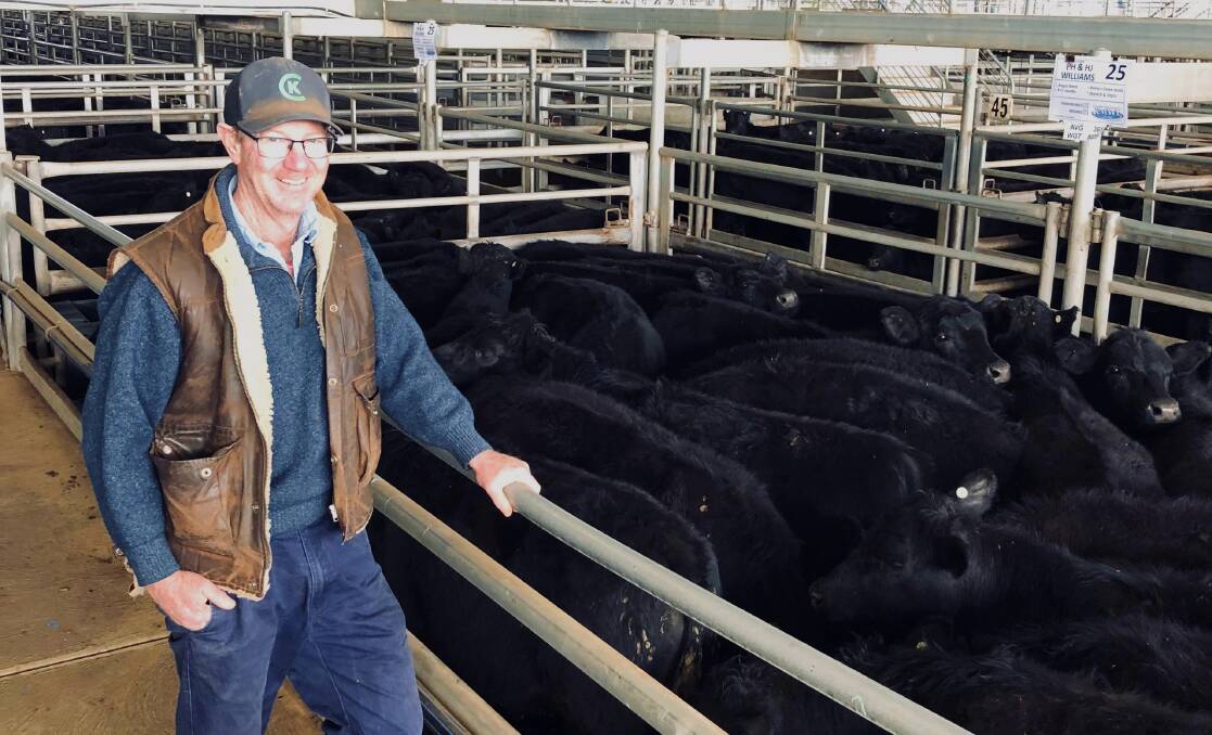Phill Williams, Rubyvale, Alectown, sold a run of 150 vendor bred, Kenny's Creek-blood Angus steers at the Forbes store cattle sale on Friday. The top 50 head, weighing an average of 389kg, sold for $1370 a head. Picture by Sam Parish. 