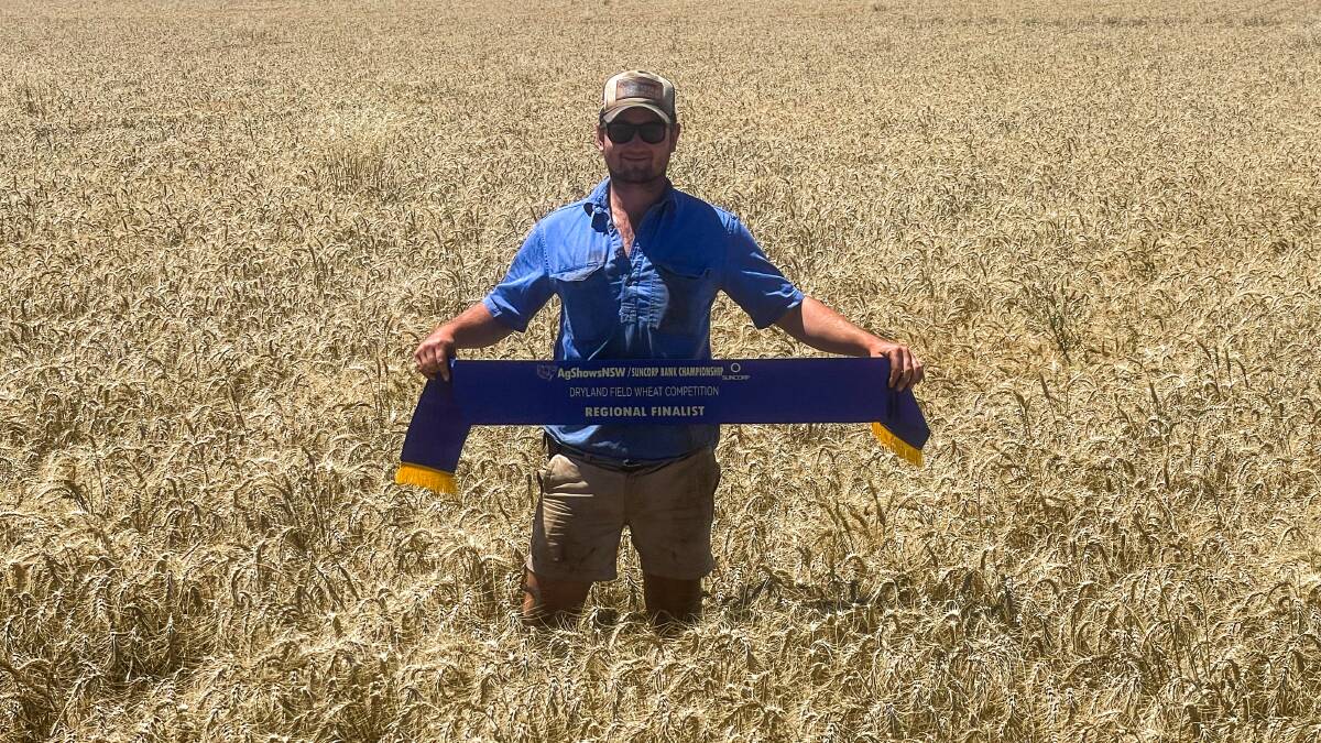 Campbell Cook standing in the award winning wheat which averaged 7t/ha for judging. Picture by Charmaine Cook
