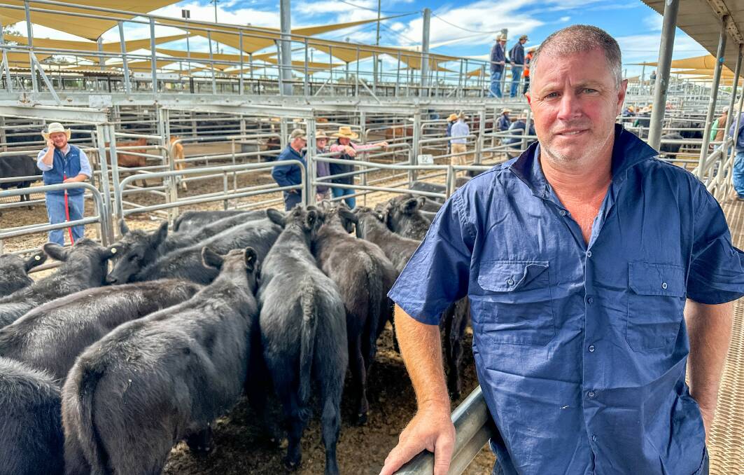Anthony Martin, Woodlands, Arthurville, bought 14, 260kg, Waitara- and Tivoli-blood, Angus steers for $1300 a head on account of Technotill Farming, Bringa Plains, Collie, at Dubbo on Friday. Picture by Elka Devney.