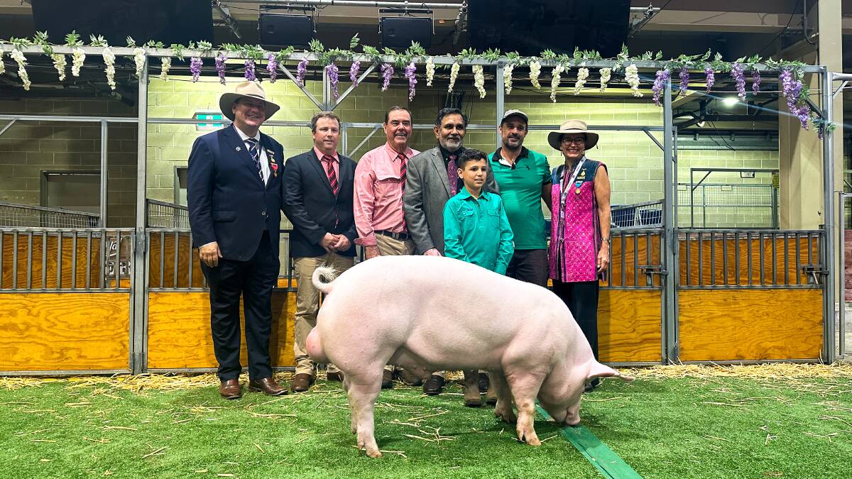 Linton Batt, Beverley, WA, James Sharpe, Elders, Walcha, Brian Kennedy, Elders, Armidale, John Singh, Bangalow, Giorgio and Wane Gauci, Horsley Park, and Janie Forrest, Mittagong, with the top-priced Large White boar, which sold for $1600. Picture by Elka Devney