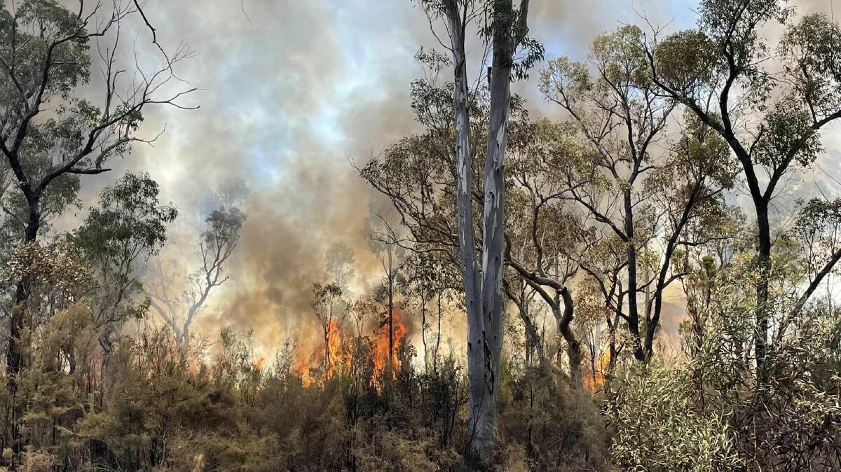 The fire has burnt through more than 64,700 hectares in 11 days. Picture supplied by the Dural Rural Fire Brigade via The Northern Daily Leader