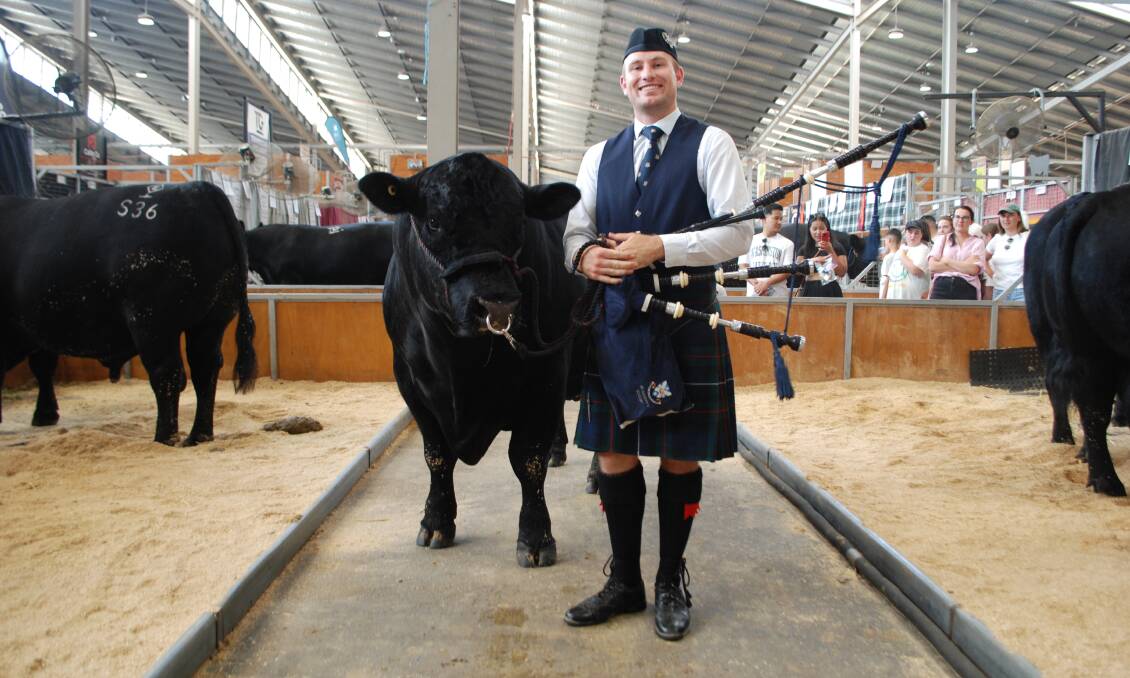 Rob Hayward, Quirindi, was awarded the RAS of NSW Youth Medal and also played the bagpipes to welcome the Angus grand champions into the ring at Sydney Royal. Picture by Rebecca Nadge 