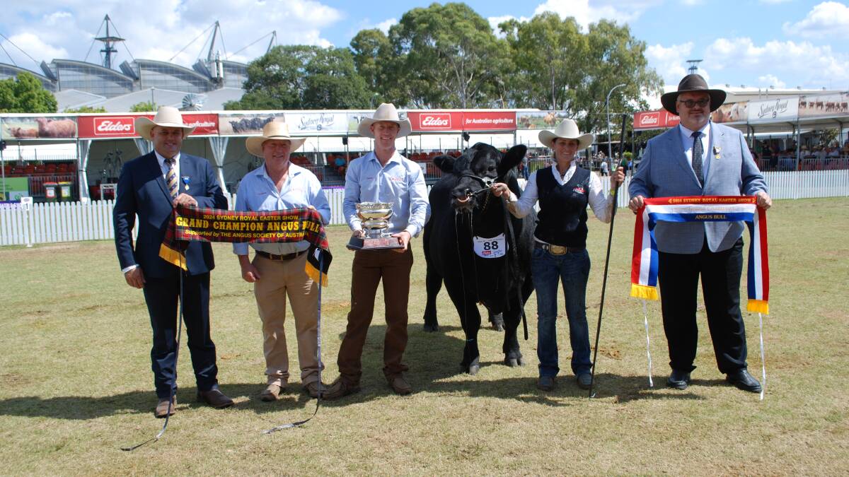 Judge Matt Spry, Spry's Shorthorn and Angus, Holbrook, Graham and James Gilmore and Rachael Wheeler, Tattykeel, Black Springs, and Matthew Macri, Angus NSW chairman, Camden, with the grand champion bull.