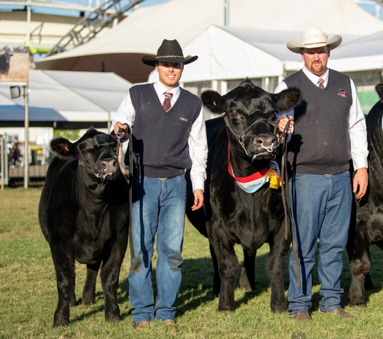 KO Jedda K127 led by Angus Onisforou and Tim Lord, KO Angus, Kangaloon, at last year's Sydney Royal Show. Jedda K127 sold for $10,000 at this year's female sale.