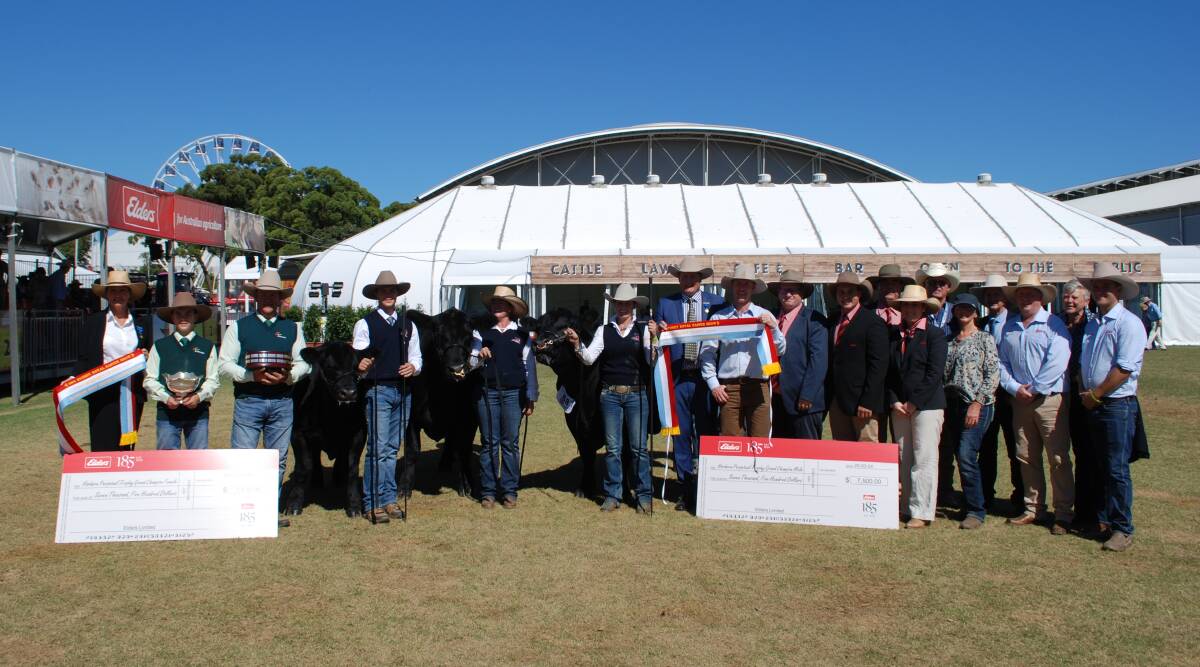The Hordern Perpetual Trophy Supreme Beef Breed Championship went to the Angus pair, exhibited by Jack and Sam Robson of JSR Livestock, Adelong, and Tattykeel Angus, Black Springs. Picture by Rebecca Nadge 