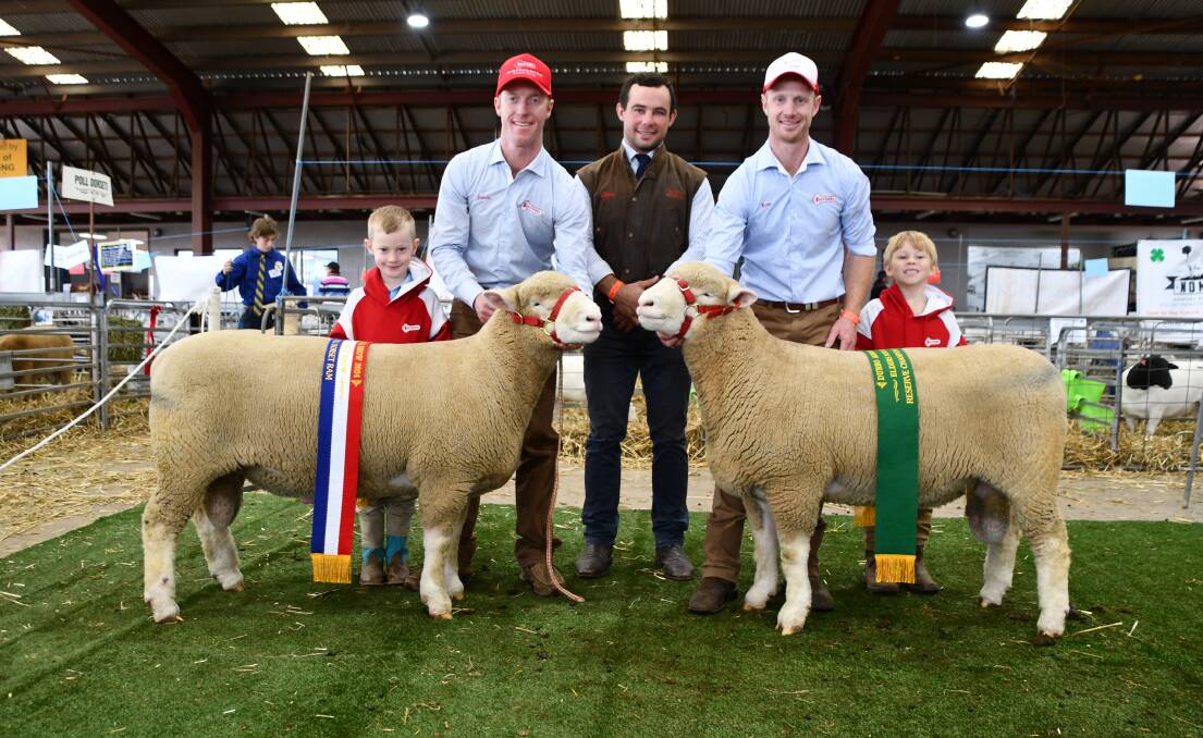Tattykeel's Wesley, 6, James, Ross, and Lawson Gilmore, 6, Black Springs, with (centre) judge Lochie Ramm, Bo-Bar Poll Dorsets, Braidwood. Picture by Rebecca Nadge.