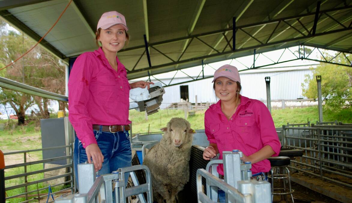 Gabby and Claudia Kelly, Ferndale, Newbridge, with a Clip-Ex sheep handler. Picture by Rebecca Nadge. 