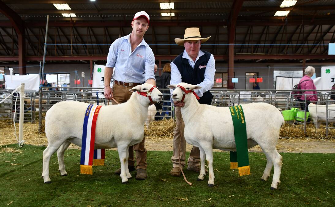 Ross and Graham Gilmore, Tattykeel, Black Springs, with the champion and reserve ewes. Picture by Rebecca Nadge.