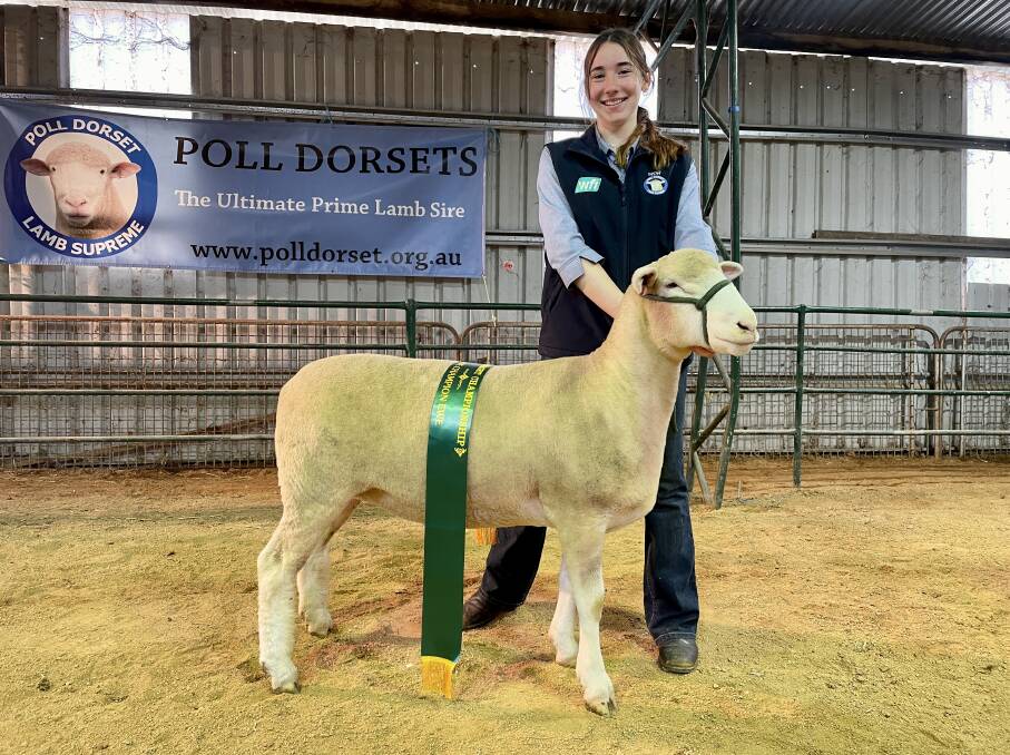 Erica Hammond, 15, of Finley High School, Finley, with the reserve champion ewe. Picture by Rebecca Nadge