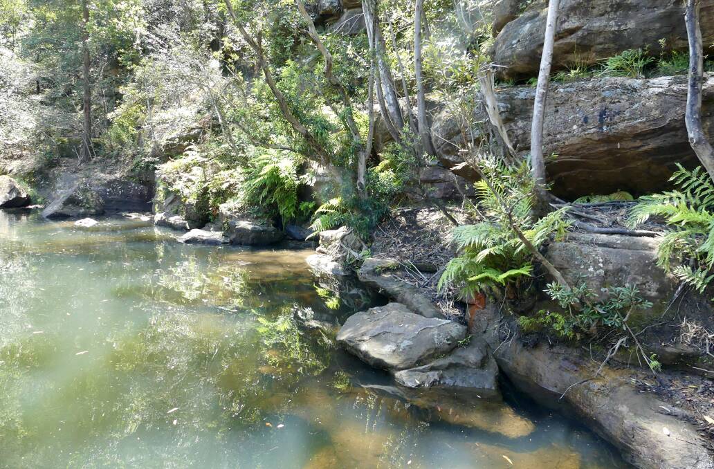 The ferns hid a small waterfall at Blue Pool.