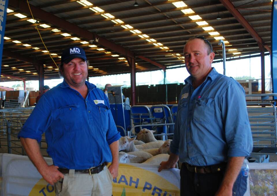 Brothers Angus and Alistair Kelly of Marocara Dorsets, Wongarbon, at a Tooraweenah Prime field day. 