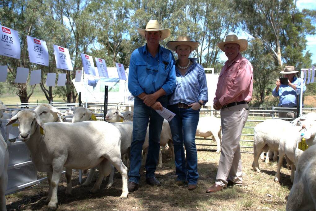 The Winton Park top-priced ram WP39 with Richard Sharpe and Bernadette Binnie, Winton, and Paul Jameson, Elders Dubbo. Picture by Kasey Bogie