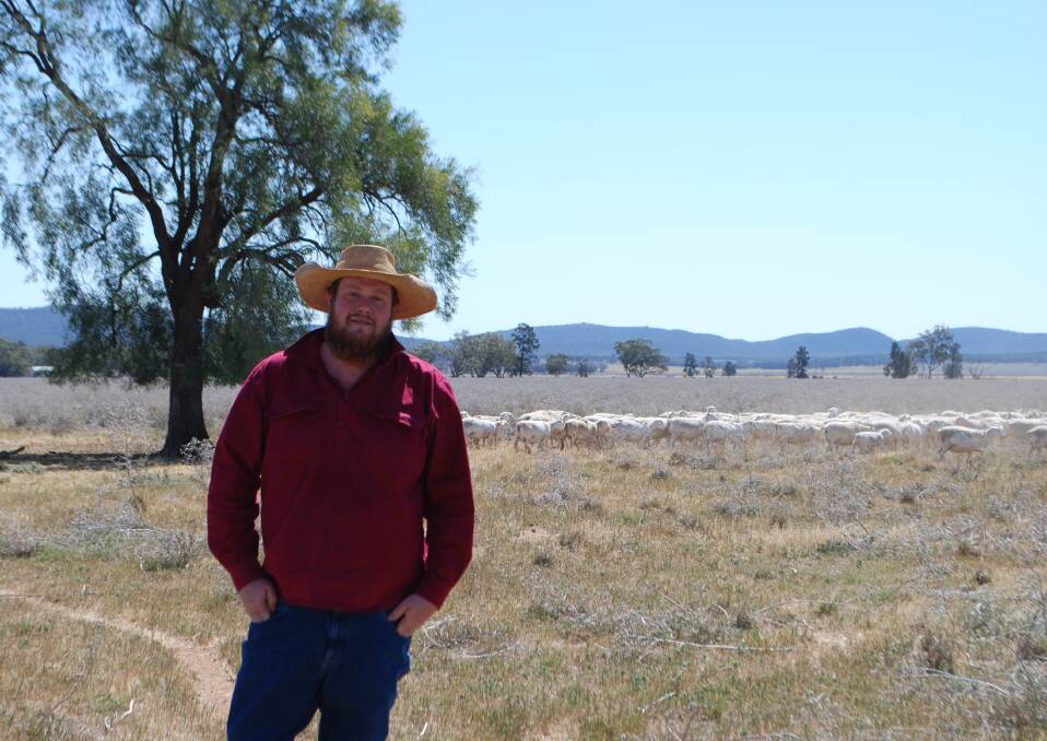Thomas Brooks, Begargo Creek White Dorpers, Lake Cargelligo, hopes to expand his sheep operation. 