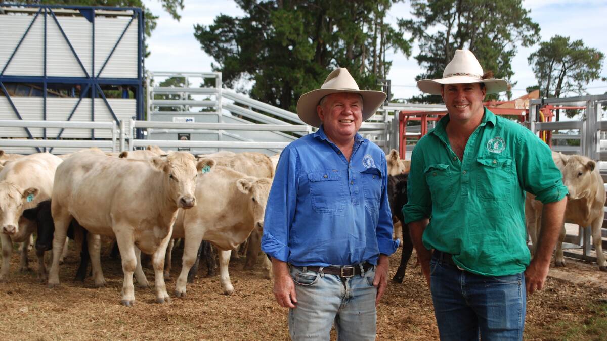 Michael and James Millner, Rosedale, Blayney, with young grassfed cattle destined for supermarket consignment. The cattle are brothers and sisters to those entered in the feedlot trial. Picture by Rebecca Nadge.