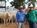 Michael and James Millner, Rosedale, Blayney, with young grassfed cattle destined for supermarket consignment. The cattle are brothers and sisters to those entered in the feedlot trial. Picture by Rebecca Nadge.