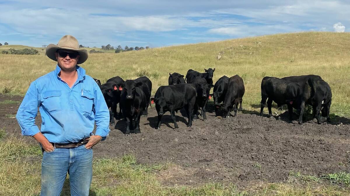 Rockvale Farms manager Finlay Munro, Armidale with some of the operations steers. Photo supplied. 