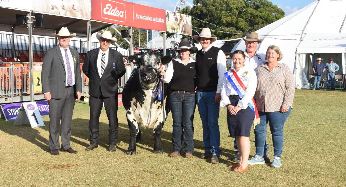 Speckle Park best exhibit Black Diamond J17 Tom Cat T1678, with Stuart Davies, judge Roger Evans, Nagol Park Shorthorns, Tamworth, Erin Ferguson and Murray Van der Drift, Black Diamond Speckle Park, Macorna, Vic, 2024 The Land Sydney Royal AgShow NSW Young Women Domonique Wyse, Taree, with Andrew and Melissa Van der Drift, Black Diamond Speckle Park, Macorna, Vic. Photo by Helen De Costa