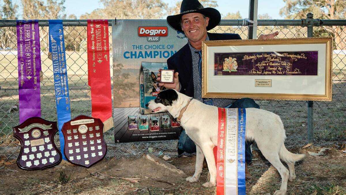 NSW Sheepdog Workers Handler of the Year, Michael Hudson, Eumungerie and Dog of the Year MGH Rabbit. Photo supplied.