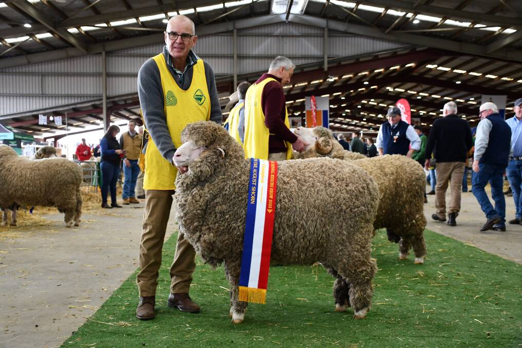 Towonga Merinos stud prinicpal, Garry Kopp, Peak Hill, with the champion strong wool ram of the show, who was also the top priced ram for the sale, selling of $7000 for Kuru Pastoral, Condonbolin. Photo by Rebecca Nadge. 