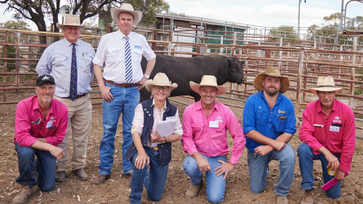 The top priced bull of the sale Te Mania Sunsberry 1469 purchased for $34,000 by Ben Coulton Family Trust, North Star with James McCormack from Te Mania Angus, Chris Clemson, Clemson Hiscox & Co, Walgett Paul Dooley, Paul Dooley Livestock Auctioneers, Pru Coulton, Ben Coulton Family Trust, North Star, Tom Gubbins,Te Mania Angus,Bob Hilton, Ben Coulton Family Trust, North Star and Hamish McFarlane from Te Mania Angus. Photo supplied.