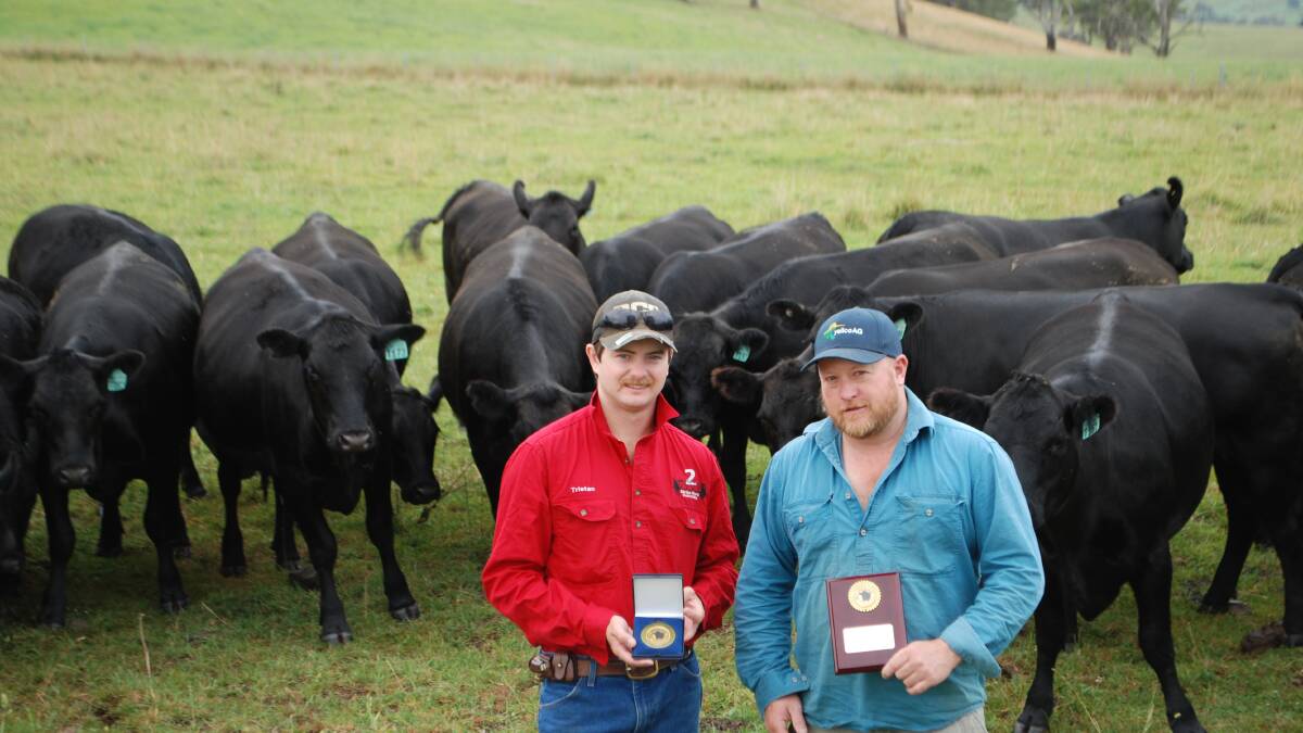 Tristan Lanser and Glen Mawhood, Sunny Point Pastoral, Oberon, with 20-month-old heifers that are due to calve in May. The heifers are Bongongo and Millah Murrah blood and are sisters to the steers entered in the feedlot competition. Picture by Rebecca Nadge 