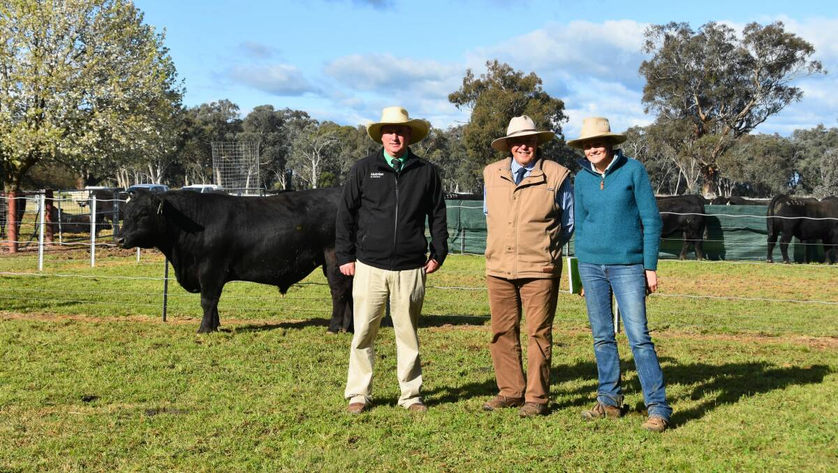 Peter Godbolt, Nutrien Ag Solutions, with Kevin Graham, who purchased Rennylea S1392 for $30,000 on behalf of Campbell Family Trust, Qld, with Rennylea Angus principal Ruth Corrigan. Photo by Helen De Costa.