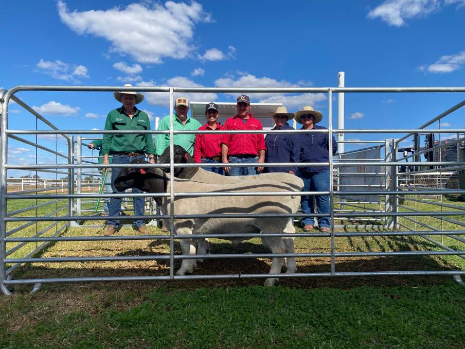 David Russell Nutrien Ag Solutions Russell Cobar, John Settree, Nutrien, Mel and Nick Pagett, Winrae Dorpers with Alli Martin and Jodi Sams, Alodi Dorpers who purchased the second top priced ram Winrae 225291, for $4900. Picture supplied. 