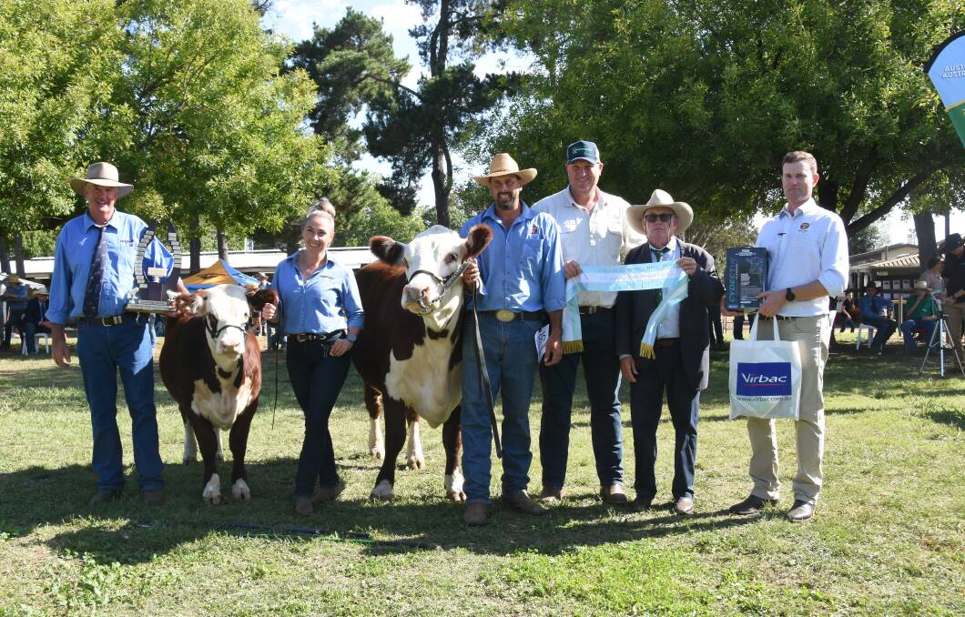 Supreme Hereford exhibit Llandillo Aster with David Manwaring, Rose View Herefords, Cootamundra, Claire and Lee White, Llandillo Poll Herefords, The Lagoon, Andrew Quirk, Pinnacle Poll Herefords, Forbes, judge Steve Crowley, Tycolah Poll Herefords, Barraba and Herefords Australia chief excutive officer, Michael Crowley. Photo by Helen De Costa. 
