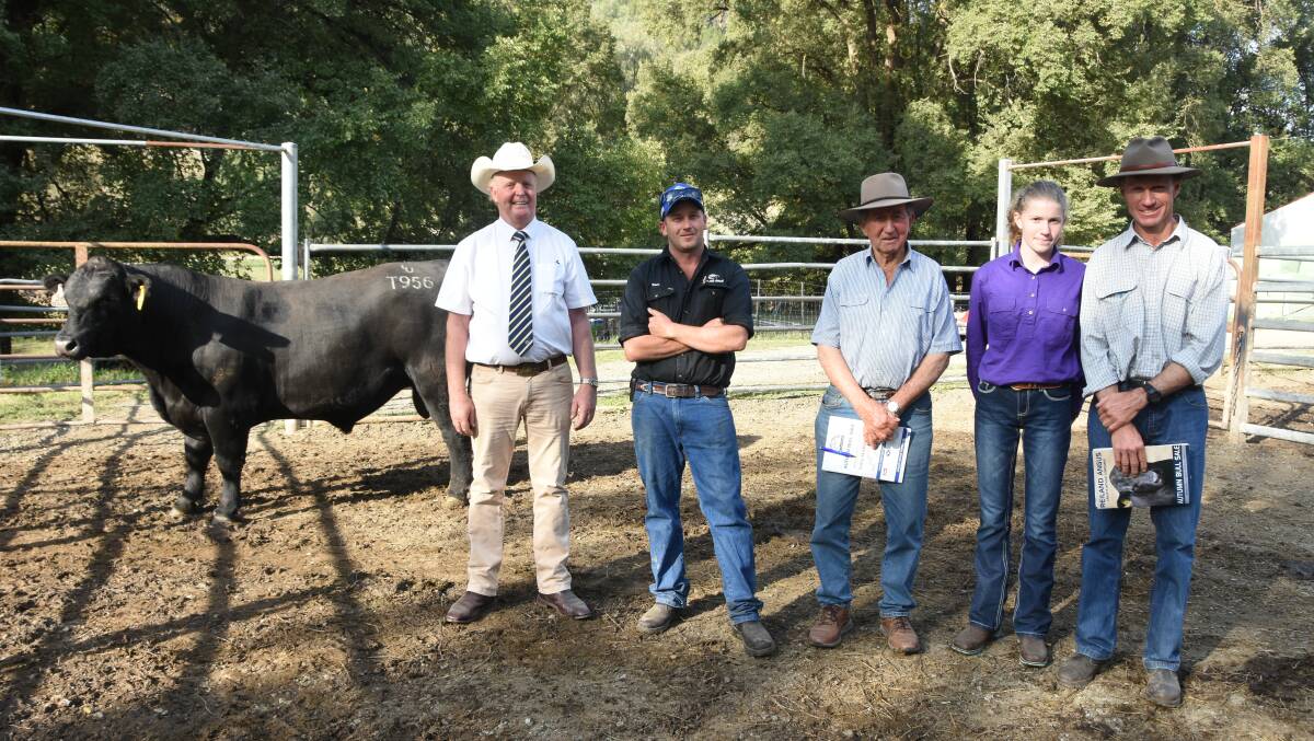 Top-priced bull, Reiland Tudor T956, with Brian Leslie, Dairy Livestock Services, Sam Lucas, Reiland Angus, with Ian, Jessica and Marcus Clarke, Ournie. Photo by Helen De Costa. 