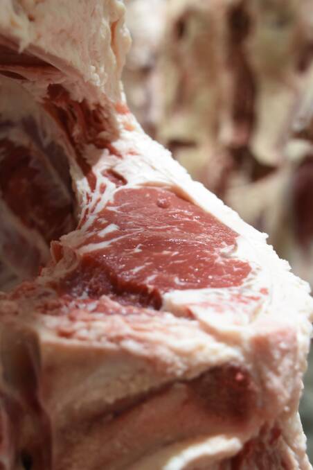 A view of an eye muscle of one of the Waralla Farming carcases that placed seventh in the eating quality medals with an MSA Index of 64.35. 