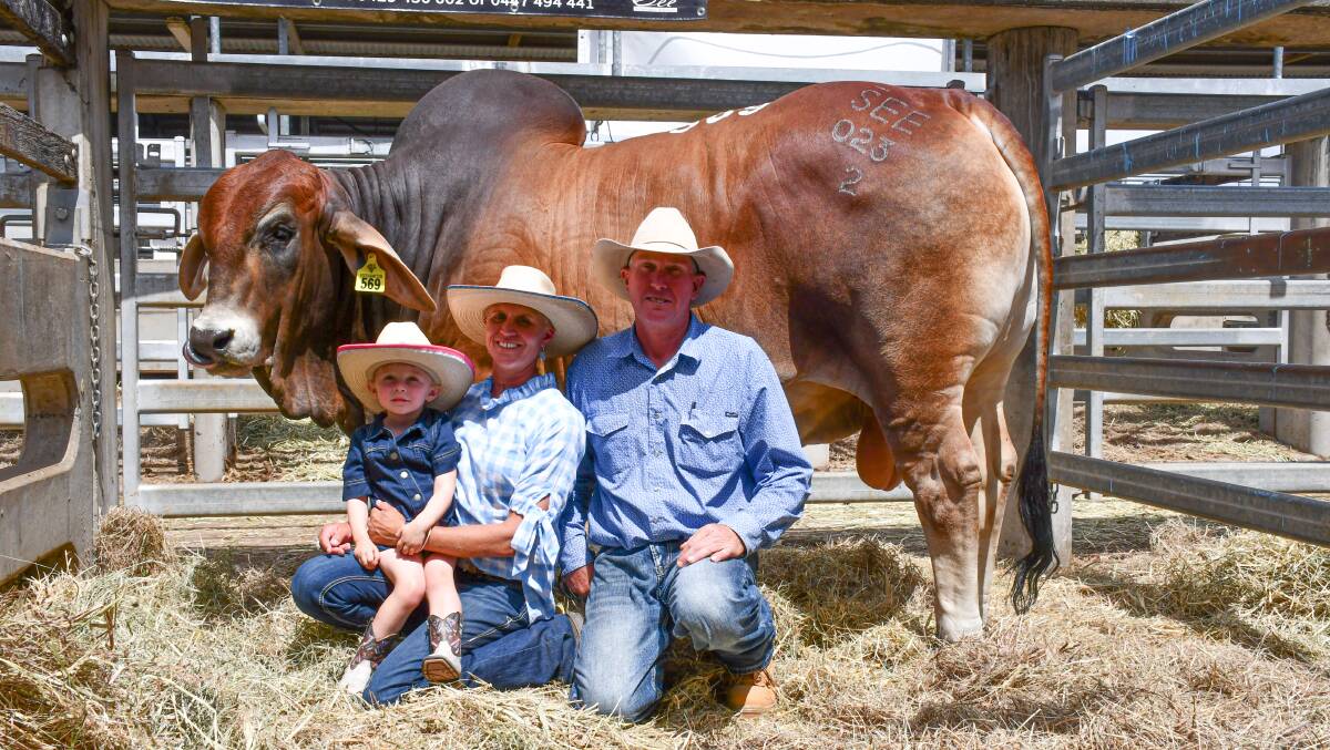 Mia, Elaine, and Scott Edwards with See M Mr Cassanova, which sold for $28,000 at Rockhampton Brahman Week on Tuesday. Picture by Ellouise Bailey 