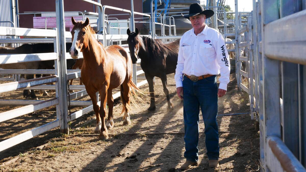 Eddie Gill with his two stand out bucking horses, APRA's Bucking Horse of the Year Moves Like Jagger (in front), and Extreme Broncs Australia's Bucking Horse of the Year Whiskey Boy. Picture by Ellouise Bailey 