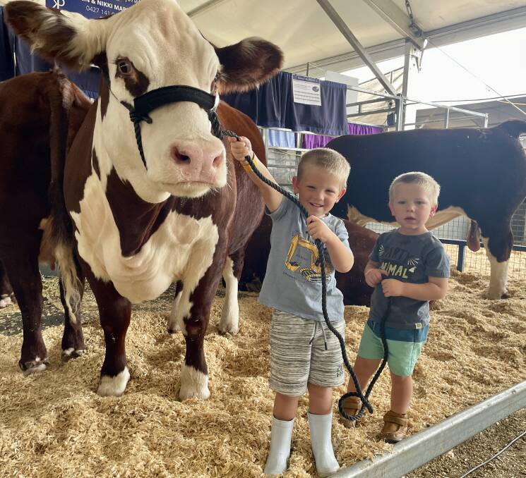 Blair and Riley Martin with one of the heifers from Kianma Poll Herefords, Forbes, NSW. Picture: Judith Maizey