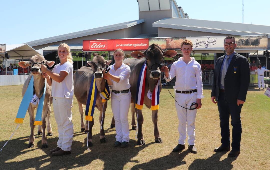 Brown Swiss junior champion females - honourable mention led by Aloah Thompson with reserve winner led by Anna Dickson and champion led by Tom McKnight next to judge Angelo Pozzatti, Pescantina, Italy. Picture by Dakota Tait.