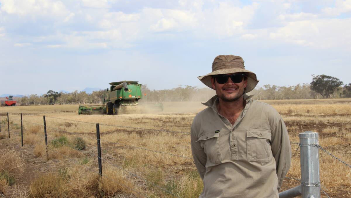 HARVEST TIME: Tony Single was busy with harvest at Narratigah Coonamble NSW despite the dry season. 