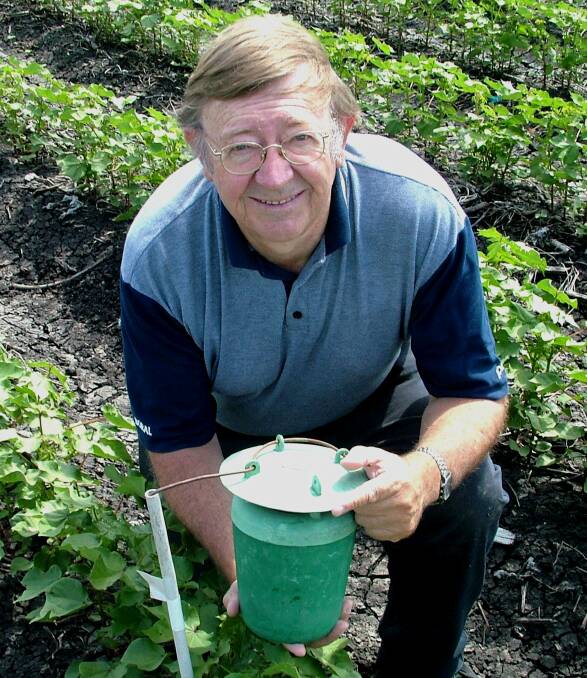 PHEROMONE TRAP: UNE Professor Peter Gregg pictured in a cotton crop, with a mirid trap baited with a pheromone lure. 