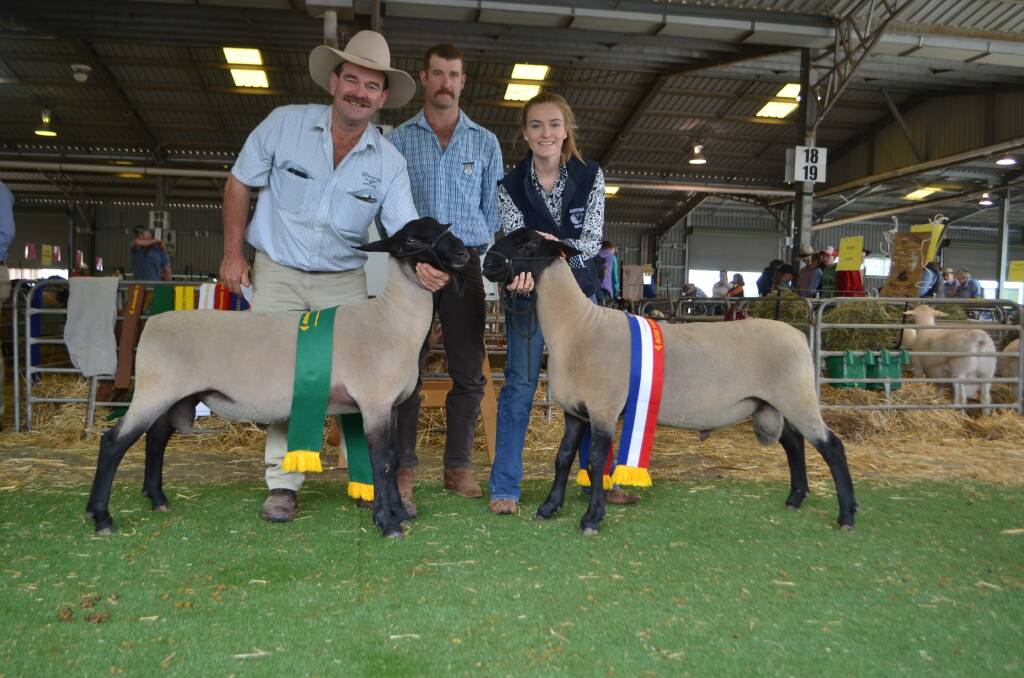 Gordon Close and his daughter Charlotte of Closeup, Finley, with reserve and champion Suffolk rams sashed by judge Brayden Gilmore, Oberon.