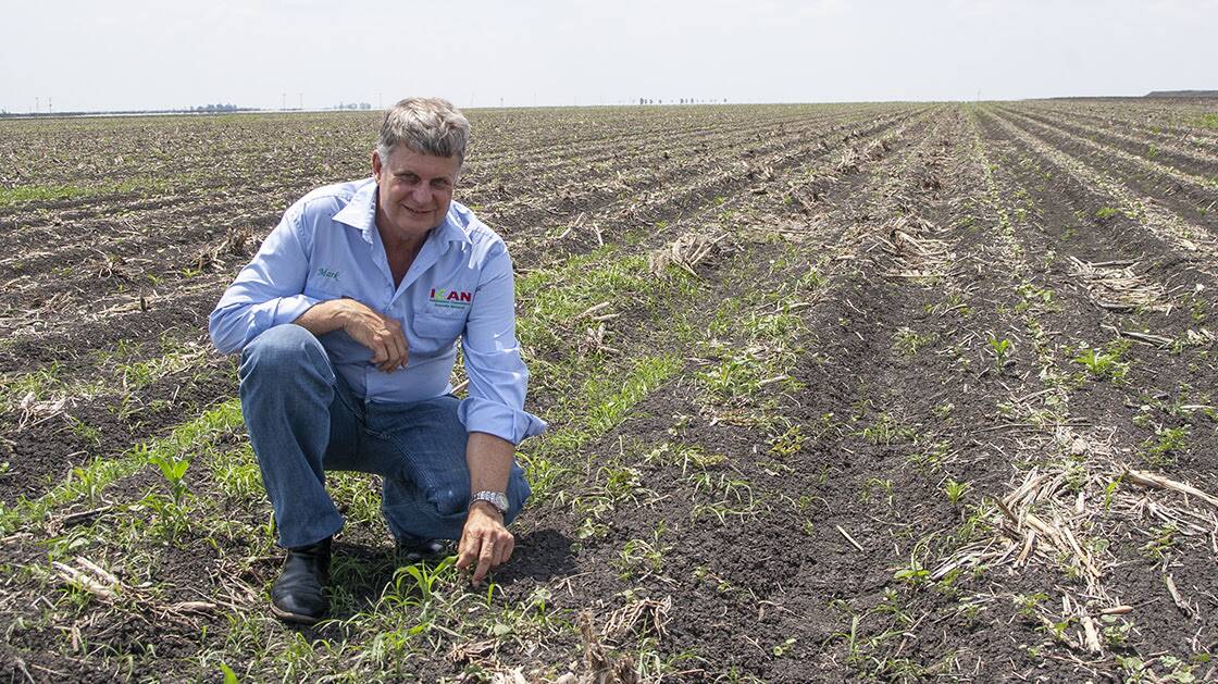 Weed control: Mark Congreve, ICAN senior consultant says pre-emergent herbicides can provide a six to eight week weed-free environment for summer crop establishment. Photo:supplied
