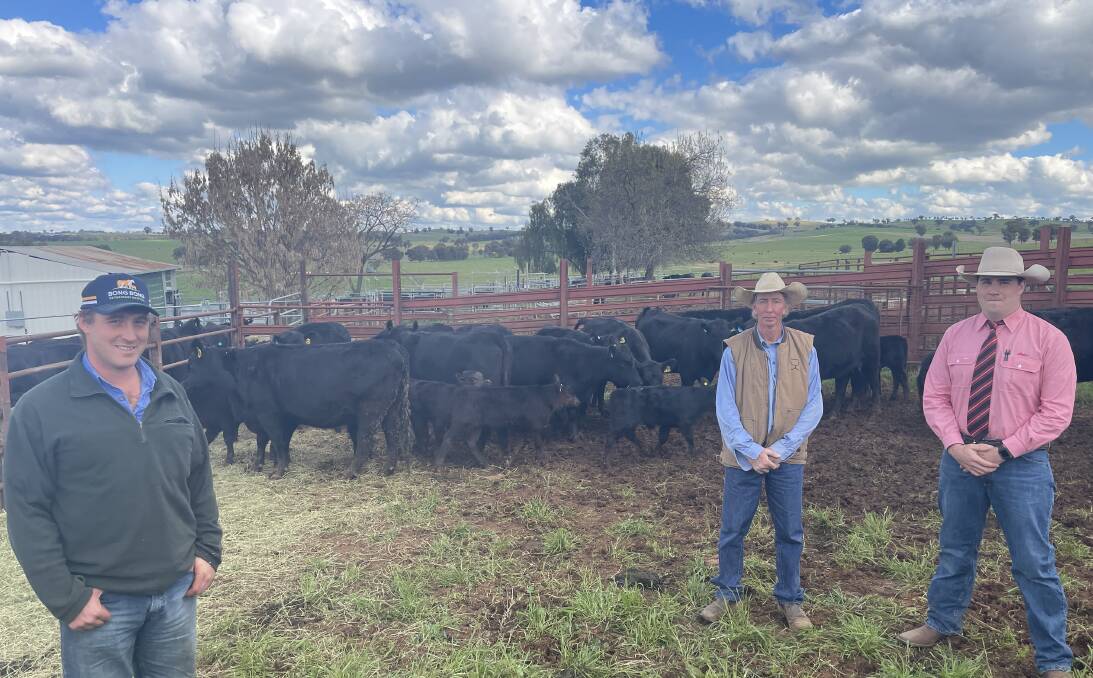 Tom Gilvarry, Wildes Meadow, with one pen of 13 Mundarlo Angus-blood females he purchased for $3550 a head, with Stephen Hulm, Mundarlo Angus stud manager, and agent Nick Gilvarry, Elders, Tumut.
