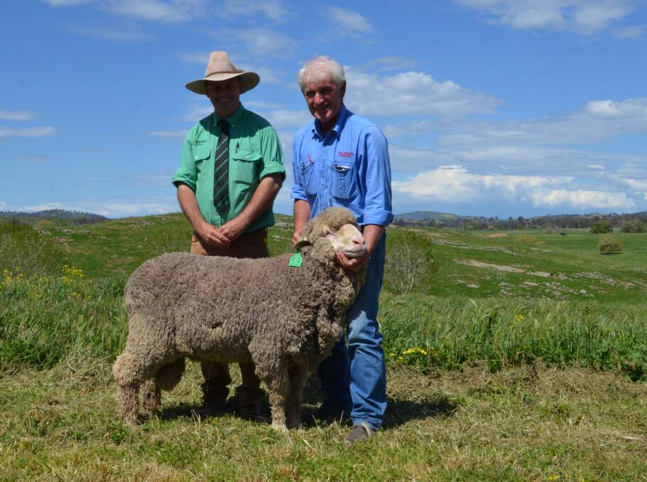 Rick Power, Nutrien Ag Solutions with the top priced ram bought by Steve Tozer, Cooma and paraded by Frank Kaveney, Tallawong Merinos, Yass.
